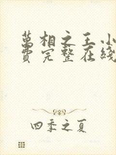 万相之王小说免费完整在线阅读