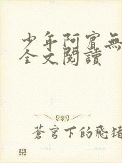 少年阿宾无删减全文阅读