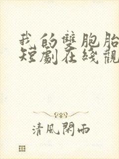 我的双胞胎姐姐短剧在线观看