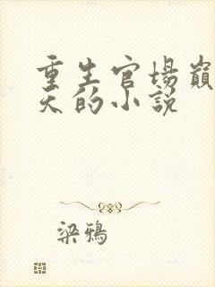 重生官场巅峰周天的小说