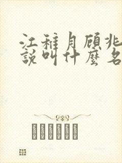 江稚月顾兆野小说叫什么名字封面