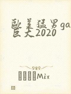 欧美猛男gay巨大2020封面