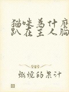 猫咪为什么喜欢趴在主人胸口睡觉