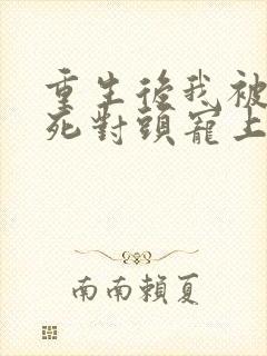 重生后我被渣男死对头宠上天短剧封面