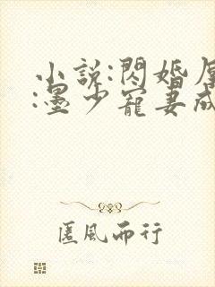 小说:闪婚厚爱:墨少宠妻成瘾