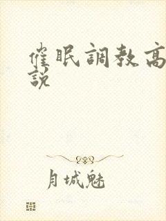 催眠调教高h小说