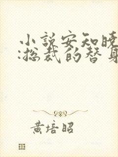 小说安知晓作品:总裁的替身前妻完整版封面