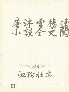 唐沐雪杨潇免费小说全文阅读