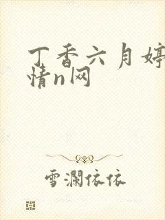 丁香六月婷婷激情n网封面