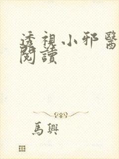 透视小邪医全本阅读封面