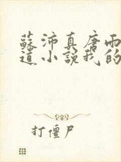 苏沛真唐雨菲林道小说我的岳母