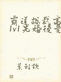 霸道总裁高干文1v1先婚后爱小娇妻