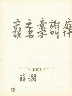 宋之意谢庭言小说名字叫什么