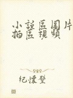 小说区图片区偷拍区视频封面