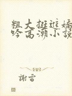 粗大挺进娇喘呻吟高潮小说