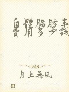 自体脂肪丰胸术费用多少钱