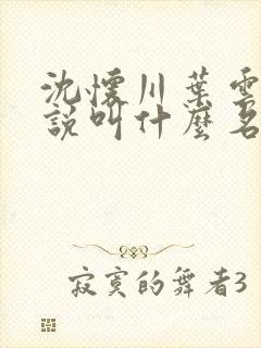 沈怀川叶云舒小说叫什么名字