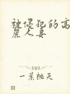 被侵犯的高贵美丽人妻