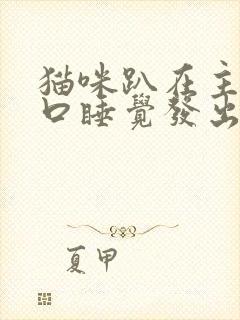 猫咪趴在主人胸口睡觉发出咕噜咕噜的声音