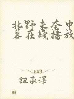 北野未奈中文字幕在线播放