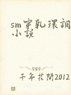 sm穿乳环调教小说