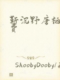 靳沉野唐栖雾免费