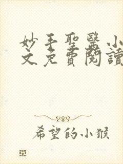 妙手圣医小说全文免费阅读