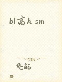bl高h sm