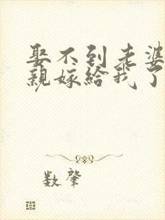 娶不到老婆,母亲嫁给我了的小说