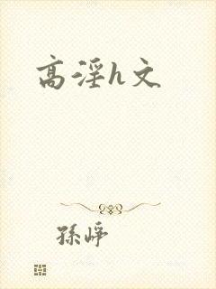 高淫h文封面