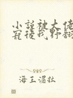 小说被大佬们团宠后我野翻了免费阅读封面