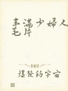 丰满少妇人妻h毛片