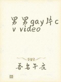 男男gay片cⅴvideo