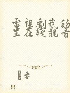 电视剧我的后半生在线观看