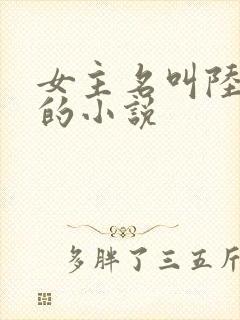 女主名叫陆朝朝的小说