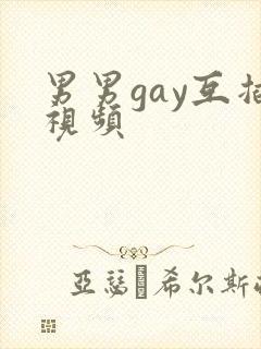 男男gay互插视频