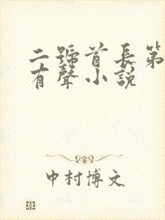 二号首长第2部有声小说