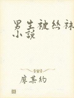 男生被丝袜捆绑小说封面