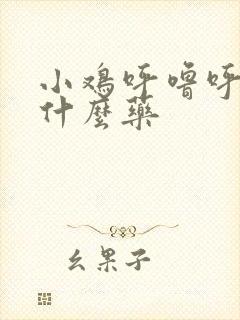 小鸡呼噜呼噜吃什么药封面