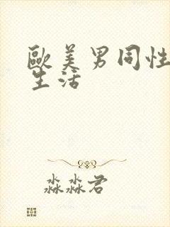 欧美男同性恋性生活