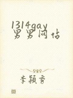 1314gay男男网站