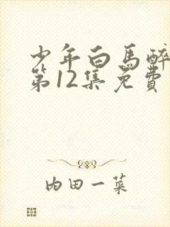 少年白马醉春风第12集免费观看