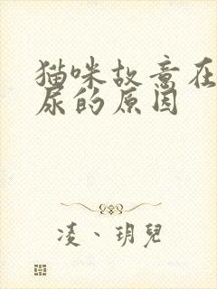 猫咪故意在床上尿的原因