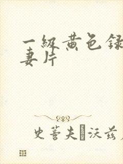 一级黄色录像夫妻片