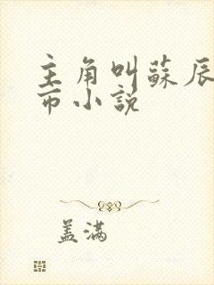 主角叫苏辰的都市小说