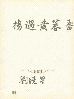 杨过黄蓉番外篇