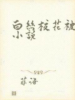 白丝校花被调教小说