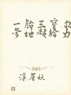 一胎三宝 总裁爹地超给力封面