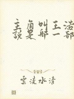 主角叫王浩的小说是哪一部封面