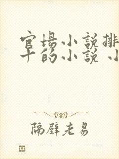 官场小说排名前十的小说 小说封面